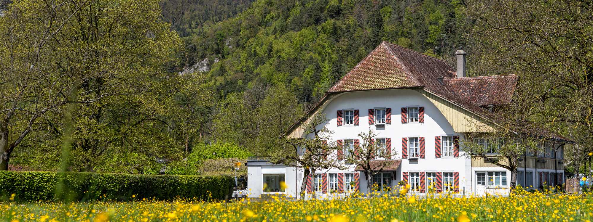 Willkommen am Thunersee
